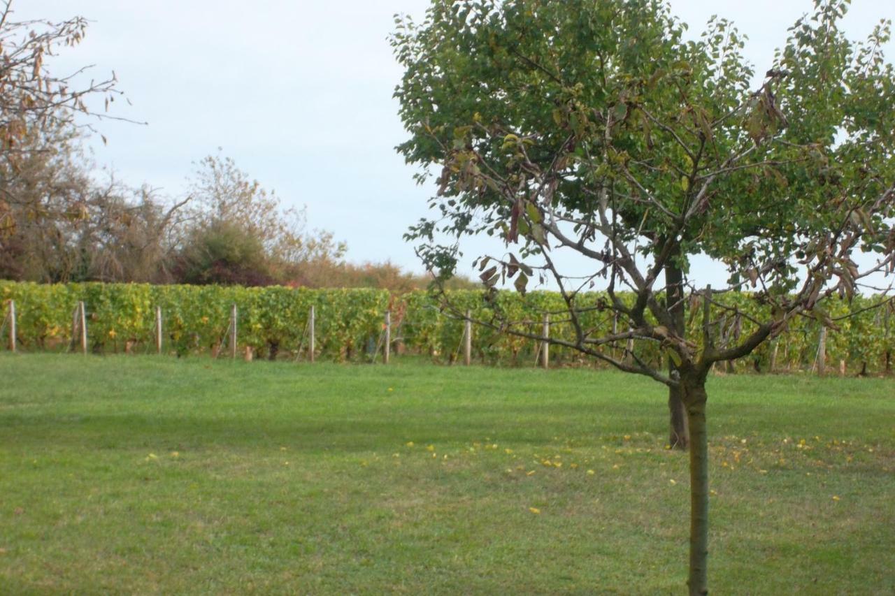 Armalou Bed & Breakfast Pouilly sur Loire Bagian luar foto