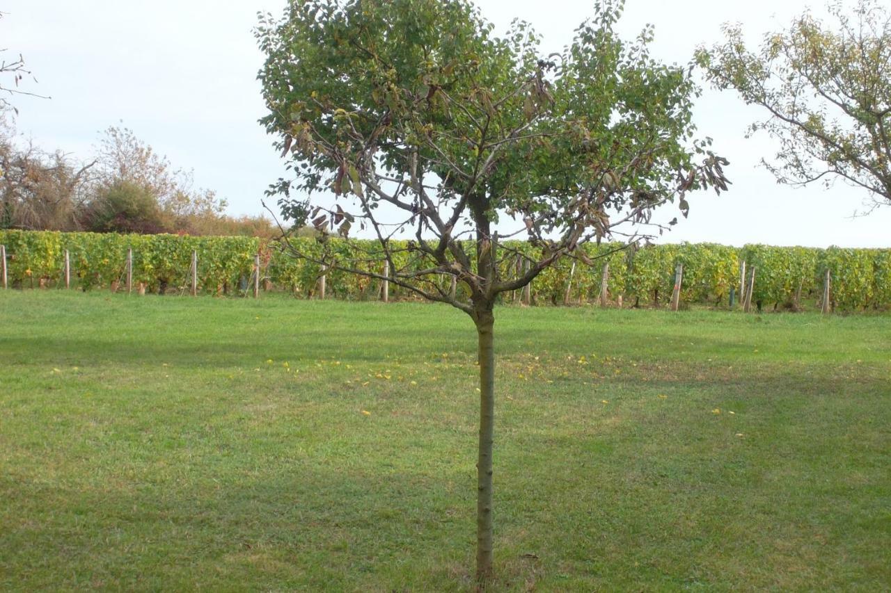 Armalou Bed & Breakfast Pouilly sur Loire Bagian luar foto
