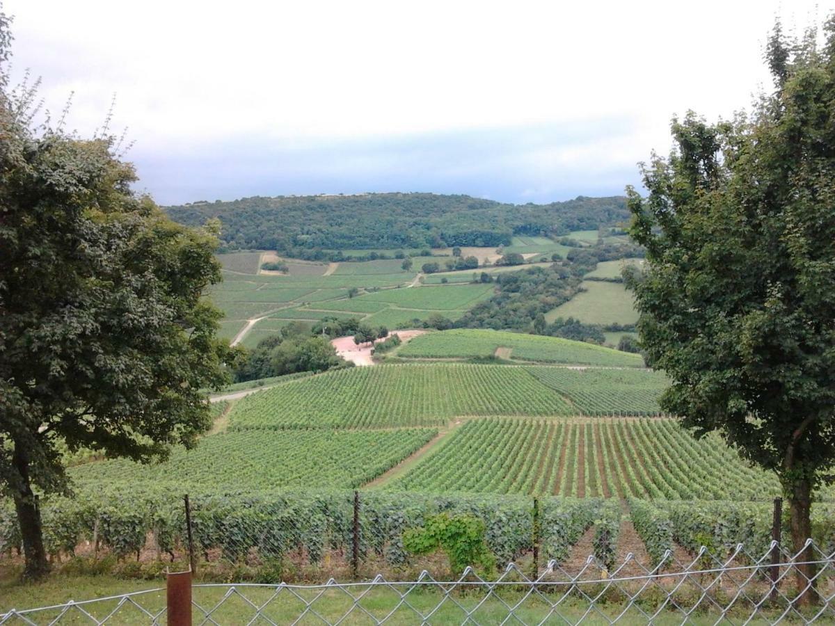 Armalou Bed & Breakfast Pouilly sur Loire Bagian luar foto